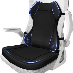 JIPORIER Seat Cushion,Lumbar Support Pillow for Office Chair,Ergonomic Memory Foam Back Support Pillow, High Density Foam Chair Cushion for Sciatica Pain Relief Coccyx Pad for Chair,Car,Desk,Black : Home & Kitchen. Menos de $45.