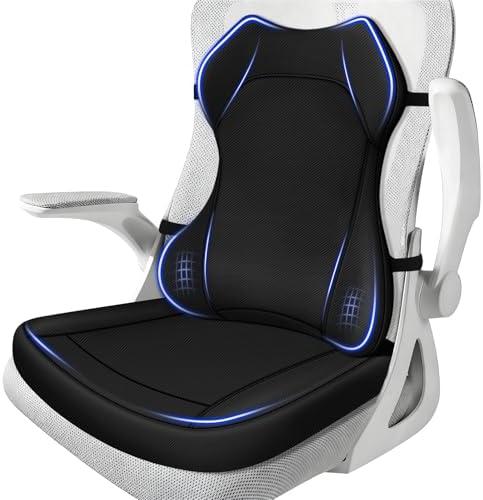 JIPORIER Seat Cushion,Lumbar Support Pillow for Office Chair,Ergonomic Memory Foam Back Support Pillow, High Density Foam Chair Cushion for Sciatica Pain Relief Coccyx Pad for Chair,Car,Desk,Black : Home & Kitchen. Menos de $45.